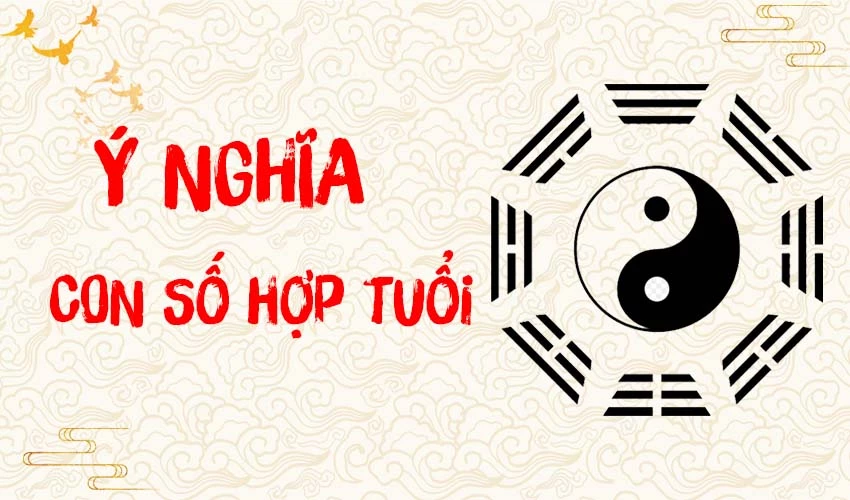 Phong thủy tuổi Nhâm Dần 1962 mệnh gì? Hợp và kỵ với màu gì?