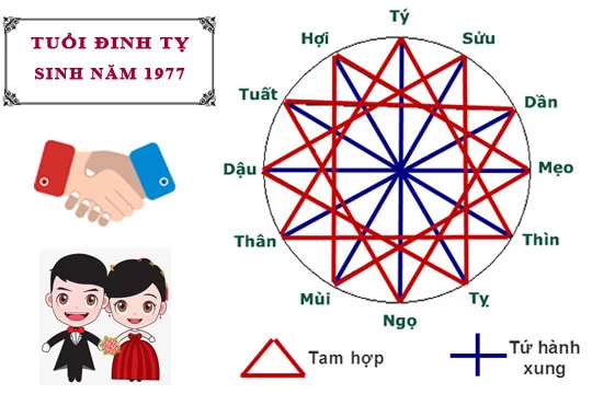 1977 TUỔI CON GÌ? CUNG, MỆNH, TỬ VI CỦA NGƯỜI SINH NĂM 1977 RA SAO?