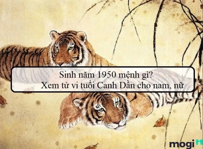 Sinh năm 1950 thuộc tuổi gì? Phân tích tử vi chi tiết về Canh Dần 1950