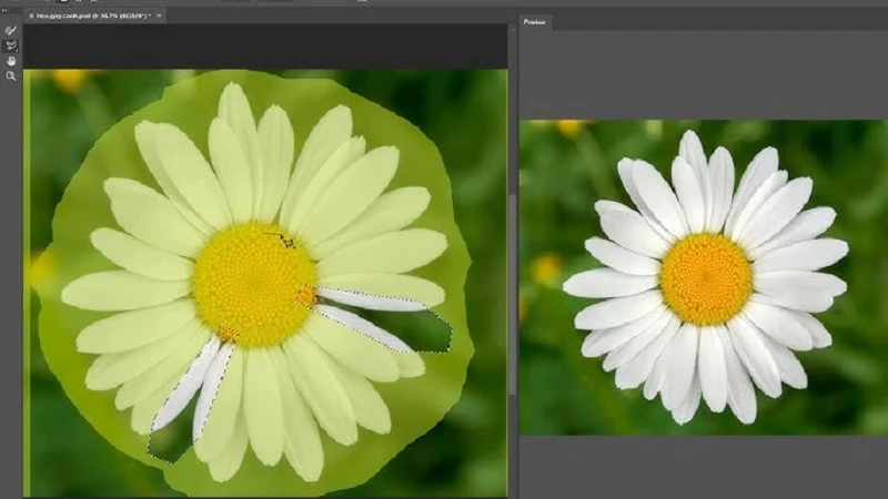 Tải Photoshop CC 2019 - Ứng dụng chỉnh sửa ảnh chuyên nghiệp