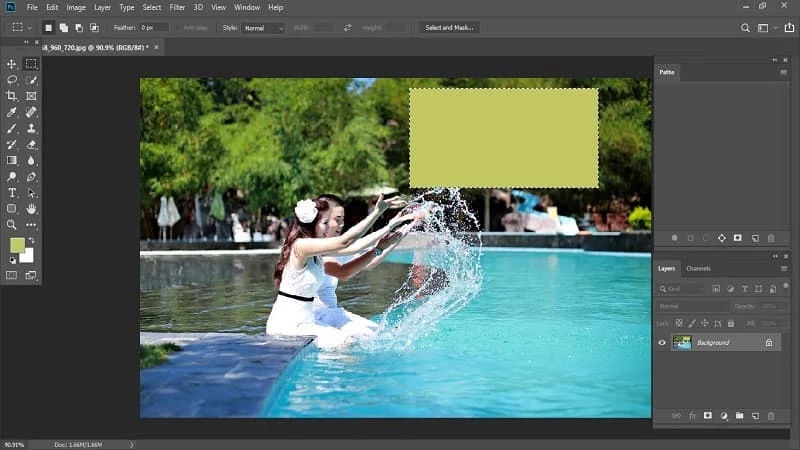 Tải Photoshop CC 2019 - Ứng dụng chỉnh sửa ảnh chuyên nghiệp