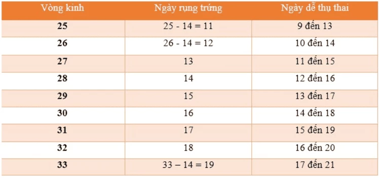 Cách tính ngày rụng trứng theo chu kỳ kinh nguyệt